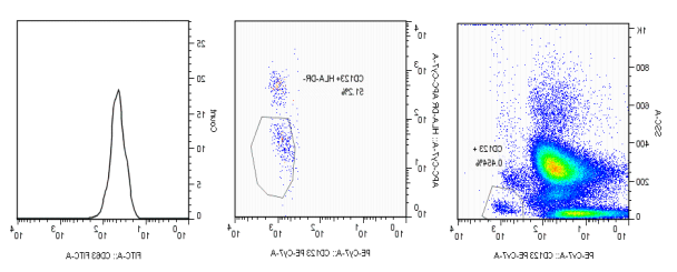 Human basophil Sensitization Test Kit (IgE, IgG)