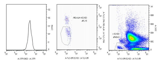 Human basophil Activation and Sensitization Test Kit (IgE, IgG)